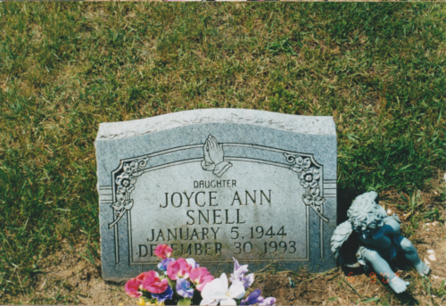 Joyce Ann Snell