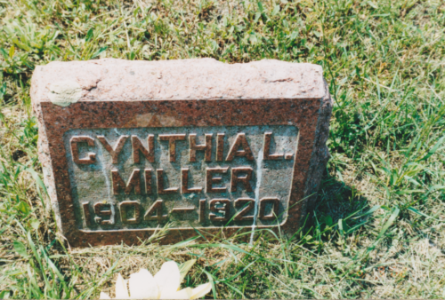 Cynthia L Miller